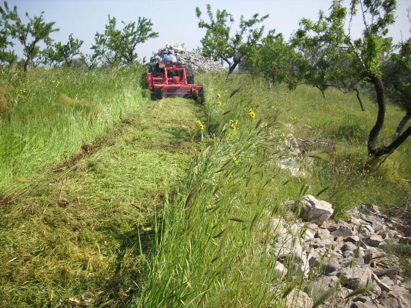 Fresadoras para terrenos in cultivados Soria