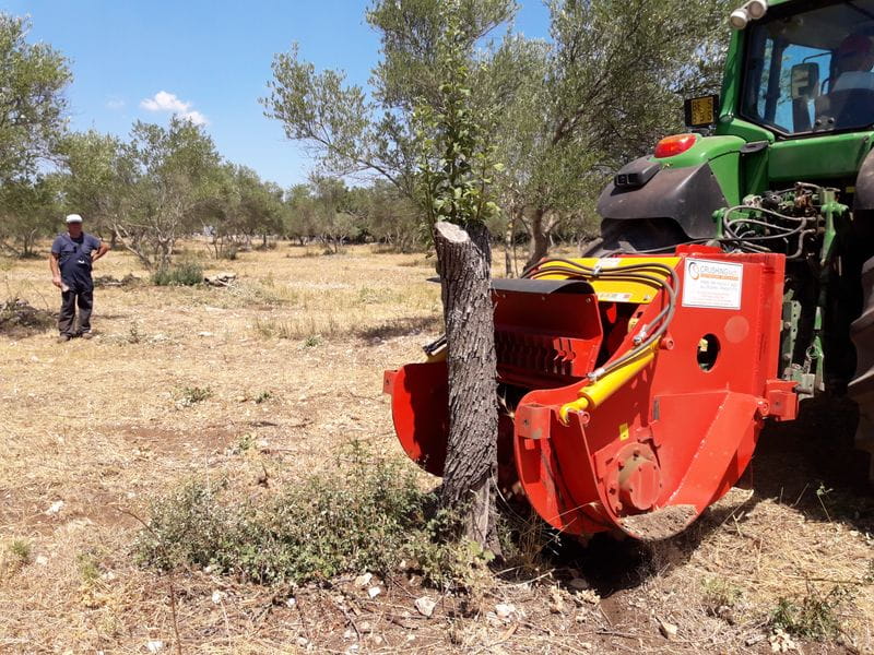 Maquinas trituradoras de piedras Badajoz